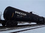 POTX 35831